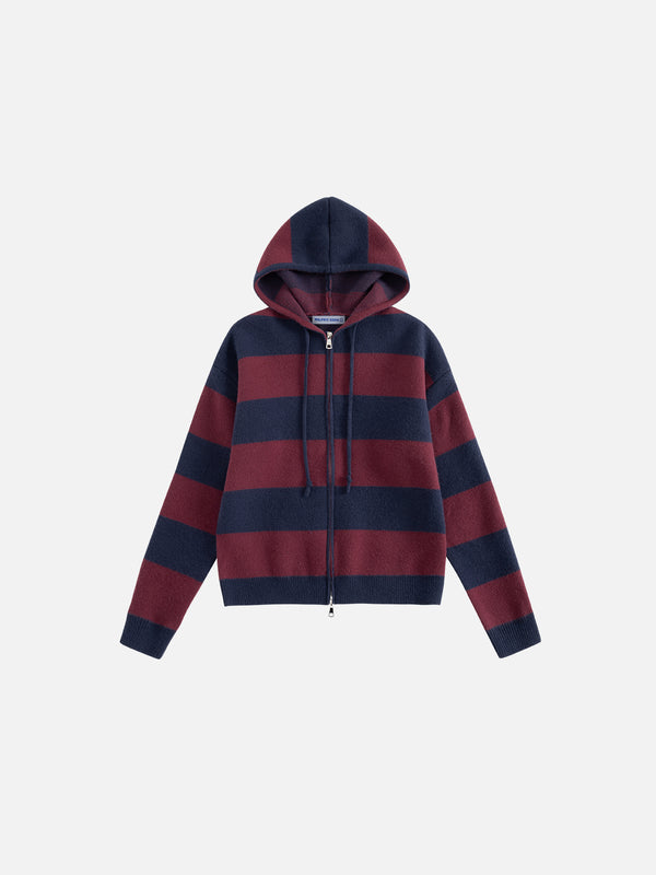 Aelfric Eden Stripe Knit Cropped Zip Up Hoodie