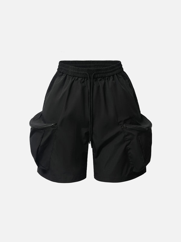 Aelfric Eden 3D Big Pocket Shorts