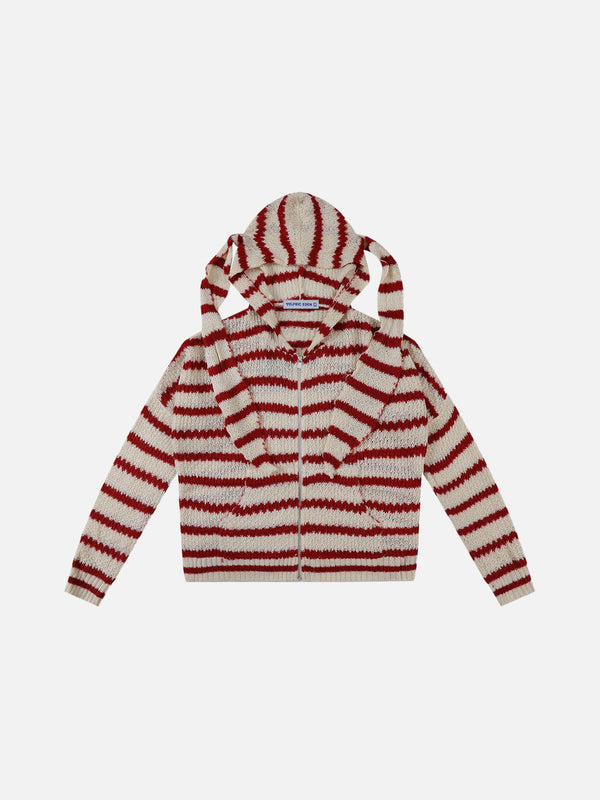 Aelfric Eden Vintage Stripe Knit Zip Up Hoodie